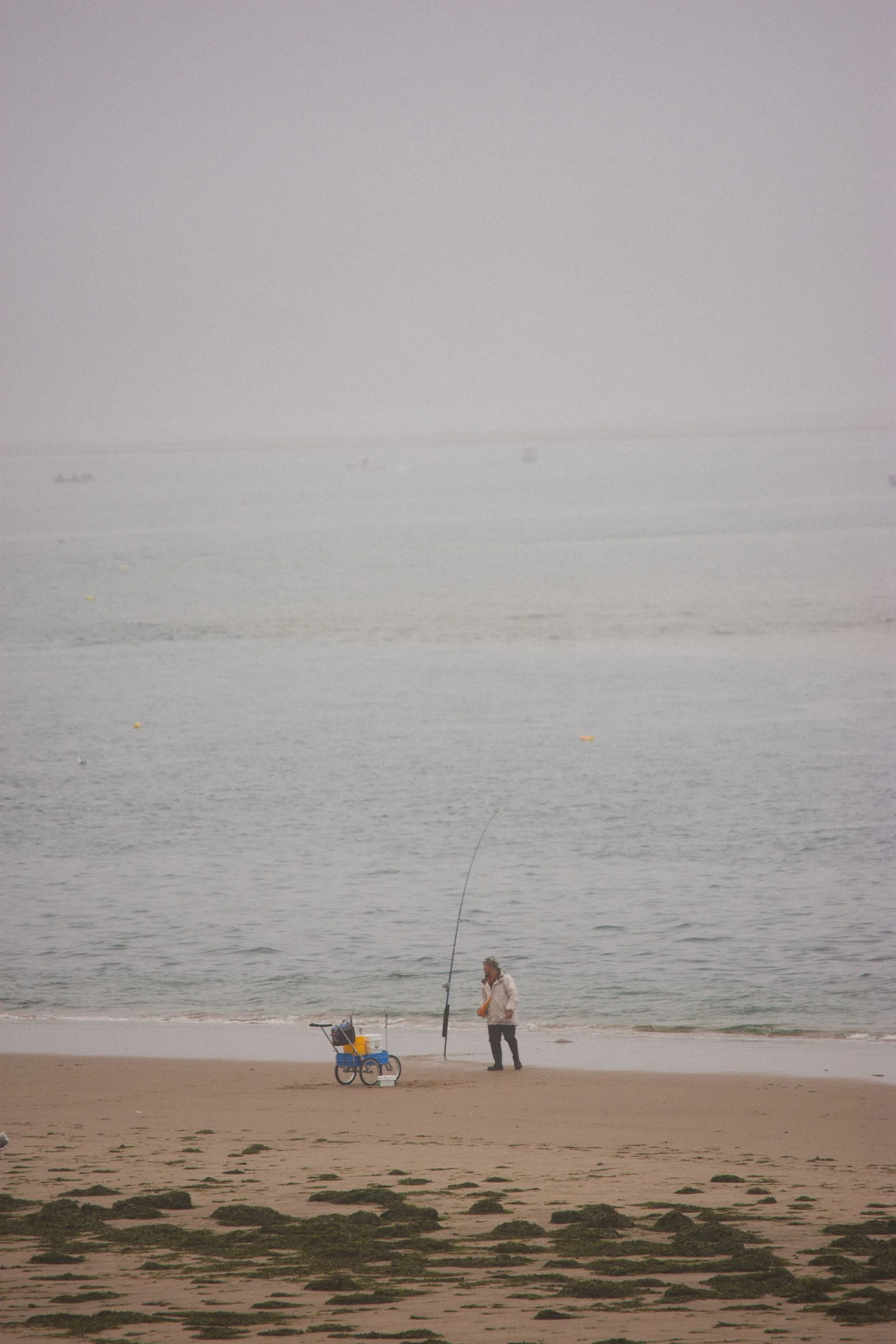 An angler with a rod and cart on a misty coastline